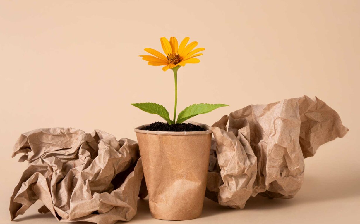 Fleur pousse autour de papiers recyclés